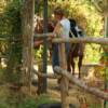 TRAILRIDERS - Corfu, Greece - Horse Riding Lessons
