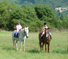 Horse Treks in Corfu, Greece
